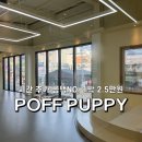 들성로-2 이미지