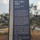 국립서울현충원 유품전시관 | 서울특별시 동작구 동작동에 자리하고 있는 '국립 현충원' 을 방문하면서.(1)