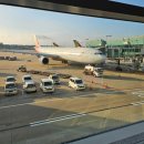 인교카정비 | [홍콩/마카오] 8월초에 다녀온 4박6일 일정