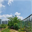 내곡동269 이미지