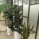 종로한의원 이미지