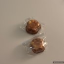 다은동물병원 | 26년 3월 일상 블로그