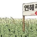 한국농장 이미지