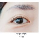 수원-0979 이미지