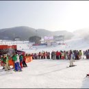 웰리힐리파크 이미지