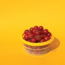 전용용기 이미지