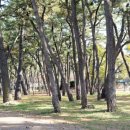 솔밭경로당 이미지