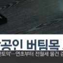원도 태권도체육관 네이버블로그