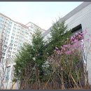 석우초등학교
