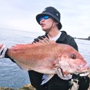 찬스당구 | 오너 마다이 참돔바늘 군산 갯바위 찌낚시 종선배 후기