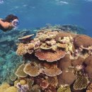 (주)데일리랜드 이미지