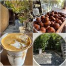 모현동-21 | 익산 모현동 시트러스 카페, 주택개조 감성에 빠진 힙한 공간 에그타르트 버터떡 맛집