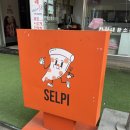 [왕십리/피자 맛집] 한양대 피자 샐피 후기, 내돈내산 장사의 신