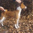 제나스테이 이미지