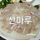 퇴계동입구 | 춘천 퇴계동 술집 실내 포장마차 산마루 :: 쥐치회 해물파전 후기