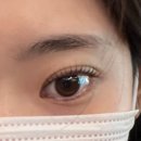 혜화로 | [서울/혜화] 어니즈 : 내돈내산 첫 속눈썹펌 후기!