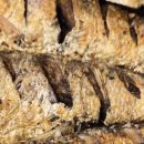 돌곶이역 2번출구 이미지