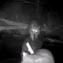 순플레이스 이미지