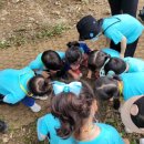 대청유치원 이미지