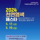 천연 이미지