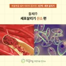 채움테라피 네이버블로그