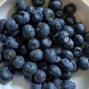 으뜸밝은세상안경 서면성모안과점 | 나도 했다, 투데이 라섹!!