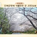 태백동새동네경로당 | 진해군항제 가볼 만한 곳, 안민도로, 블랙이글스비행연습