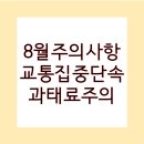 주정차 단속 - 001 이미지