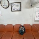 비전 카센타 이미지