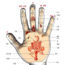 *손 중앙에는 노궁이라는 혈자리가 있습니다. 이미지