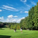 그레이스컨트리클럽 | 2025 한화 라이프플러스 인터내셔널 크라운 - 호주의 첫 우승과 새로운 골프 축제의 탄생