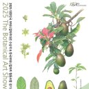 보태니컬 아트 이미지