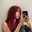 (주)레드오렌지 이미지