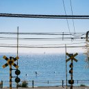 롯데시티호텔제주 이미지