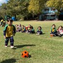 [개구리놀이학교]2️⃣패널티킥 여친:남친⚽️ 이미지