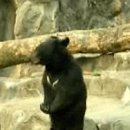 목2지구대 이미지