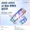 빛나는콘텐츠 뉴데일리