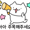 커몬댕댕 광주애견유치원&애견호텔 이미지