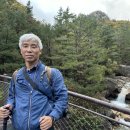 두루춘풍 | 설악산 산행 - 3. 봉정암(鳳頂庵)을 오르며 2) 산이 높으니 단풍색이 좋구나. ② 산행여정 추월단풍...