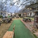 강아지랑 고양이 이미지