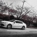 샬롬크리닝 이미지