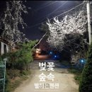 개나리펜션