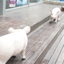 자운안경원 이미지