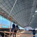 BK농장 | [BK 승마랜드] 부산 승마 체험하기 좋은 곳 솔직후기