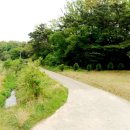 담양군수북면수남보건진료소 | 전남 담양군 수북면 남산리(남산마을과 풍수마을앞 들녁중간)농로길 삼거리코너 소 면적 주말농장용토지...