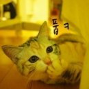 만나 - 당진시 | 만나