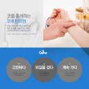 코호한의원 이미지