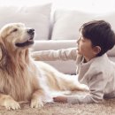 에코엠㈜ 이미지