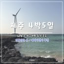 파리바게뜨비아지점 | 12월 초 겨울 제주도 4박5일 커플여행 일정공유 실내 가볼만한 곳 에어비앤비 추천