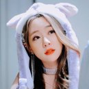 연정3